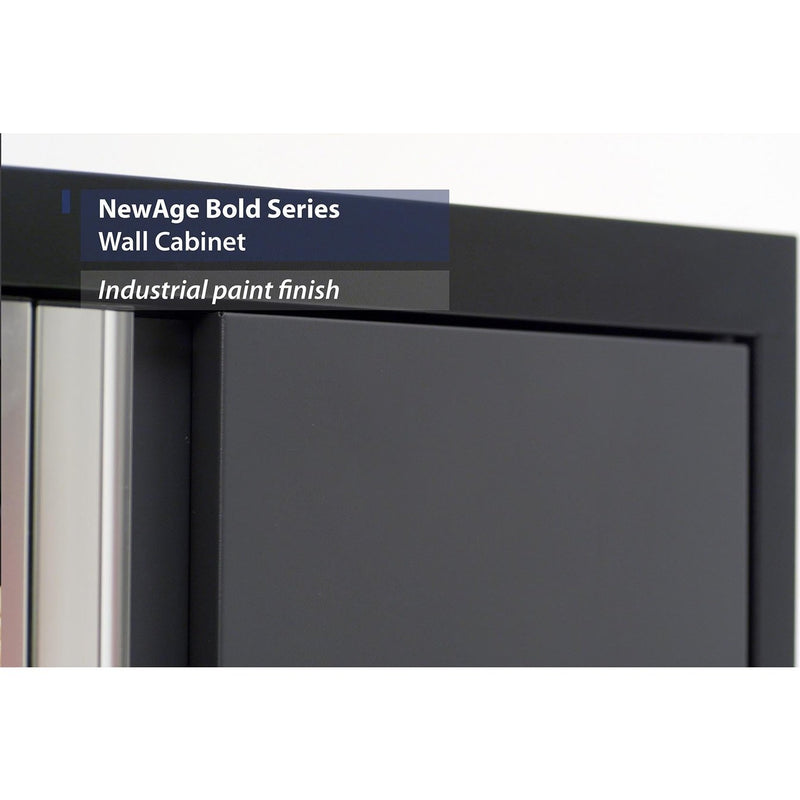 NewAge Bold Series 24 in. Wall Cabinet